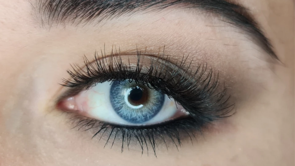 Caribbean-blue-yıllık