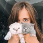 Medeo Ring Gray Hareli Aylık Lens - Görsel 5